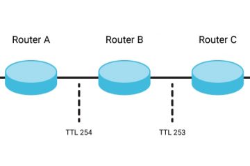 What is TTL Value? Definition & FAQs
